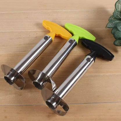 coupe ananas dissolvant de noyau